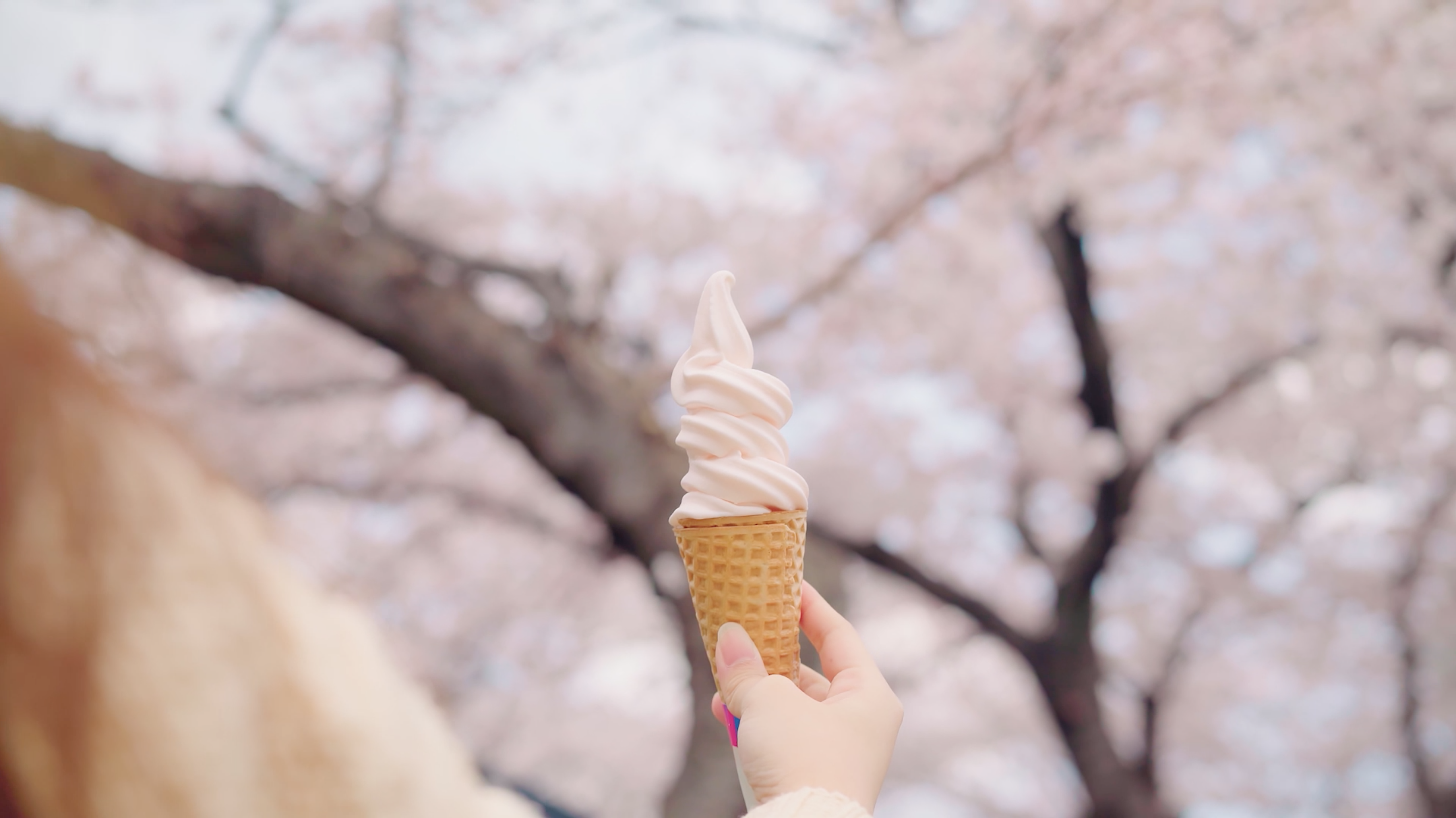 Beautiful Ice cream in sharp focus