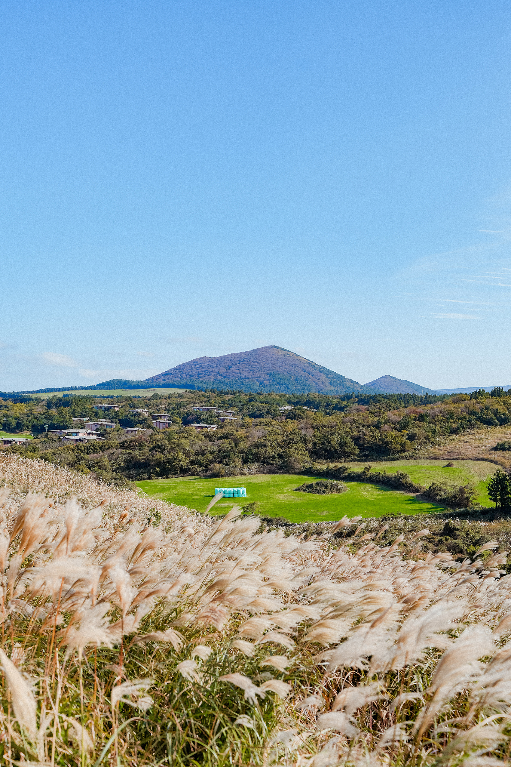 Jeju hillside