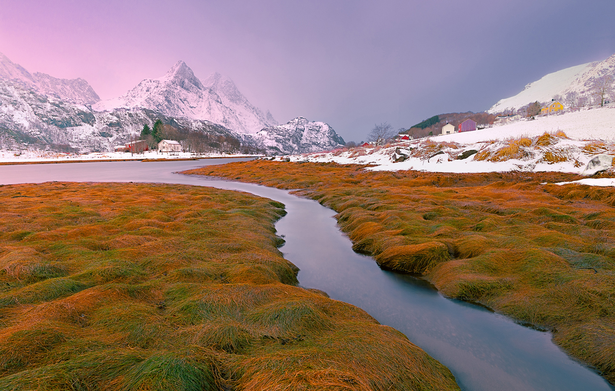 RED GRASS